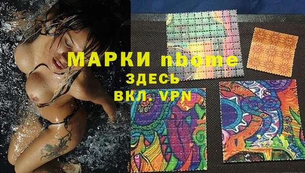 гашик Бикин