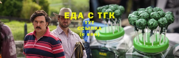 гидра Богданович