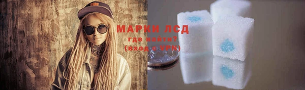 гидра Богданович
