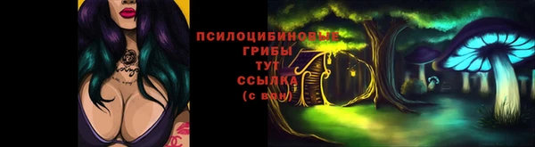 гидра Богданович