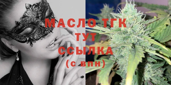 гашик Бикин
