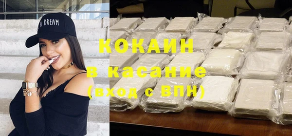 гидра Богданович