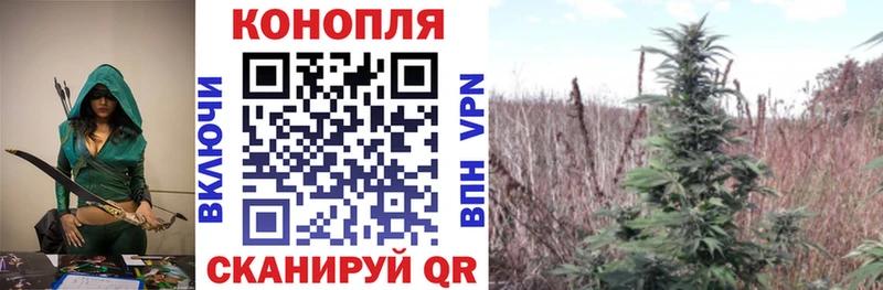 Шишки марихуана THC 21%  что такое   Верхотурье 